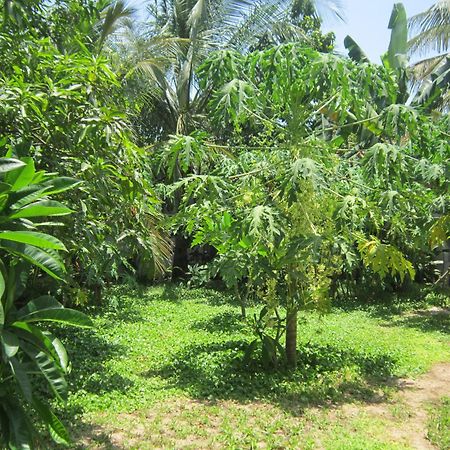 Local Beach Homestay Хоян Екстер'єр фото