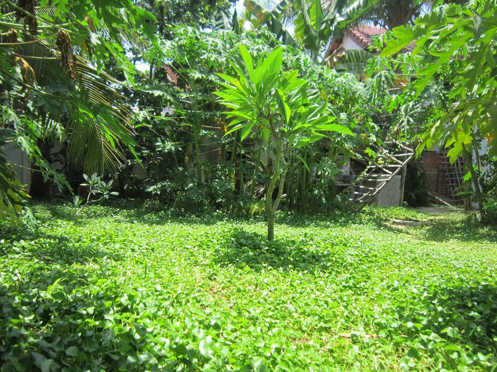 Local Beach Homestay Хоян Екстер'єр фото